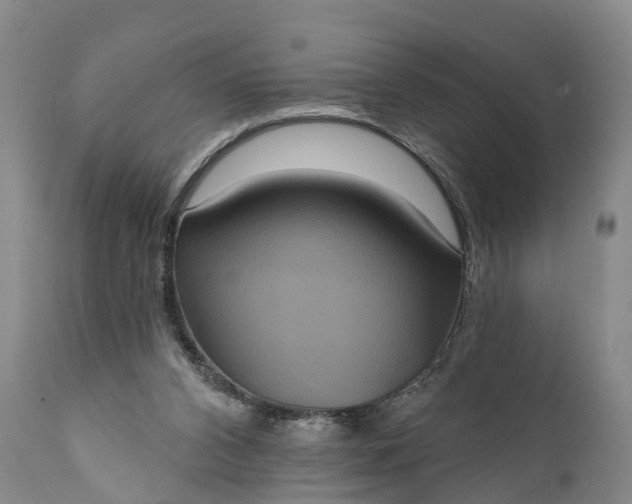 X0000112000112200908171429