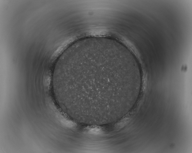 X0000112000113200908171429