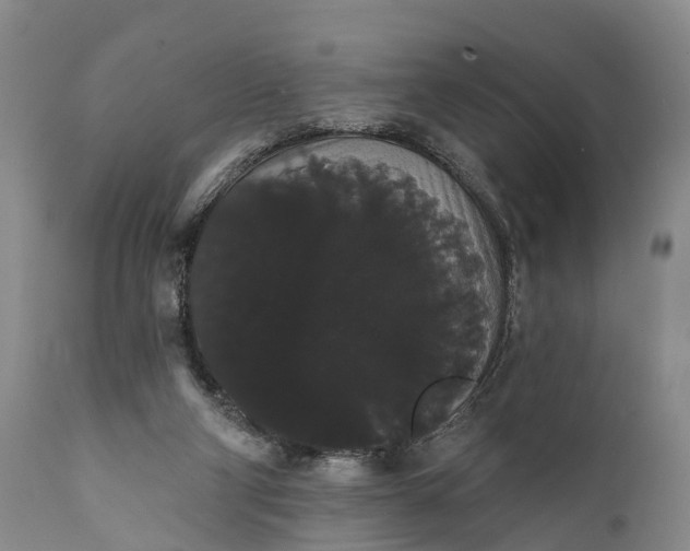 X0000112000114200908171429