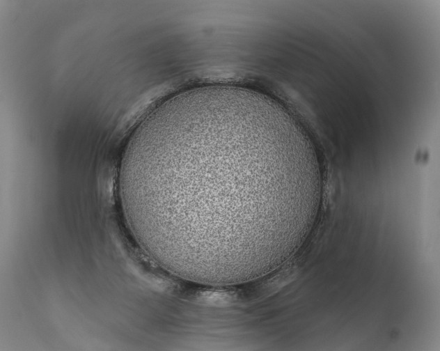 X0000112000115200908171428