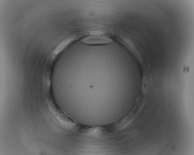 X0000112000116200908171428