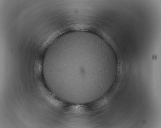 X0000112000117200908171428