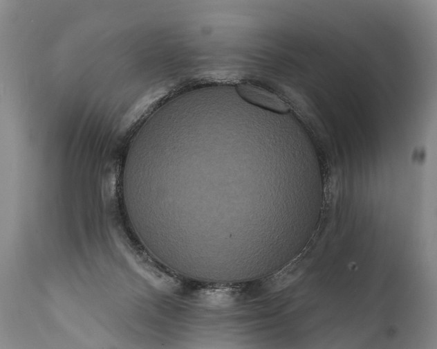 X0000112000120200908171428