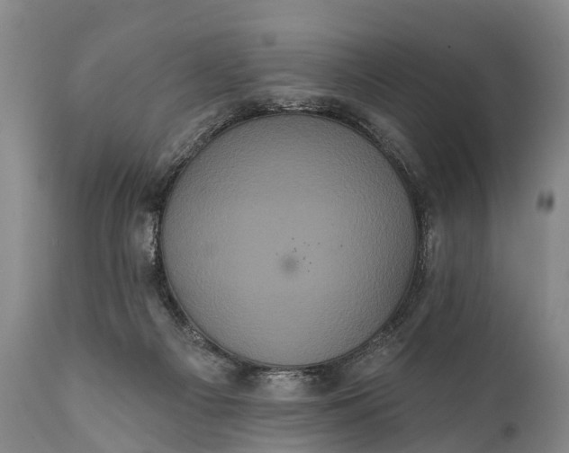 X0000112000121200908171428