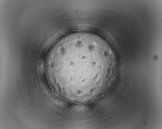 X0000112000123200908171428