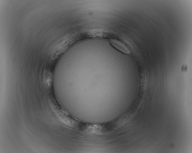 X0000112000125200908171428