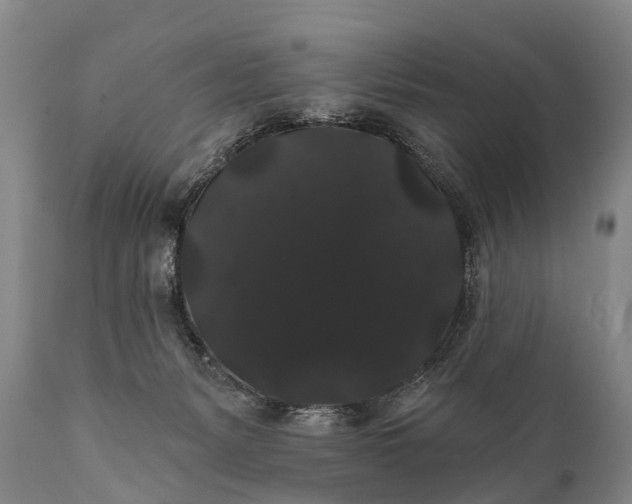 X0000112000127200908171428