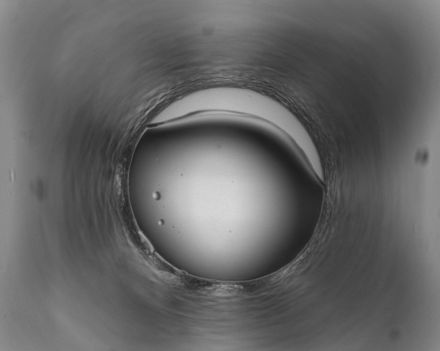 X0000112000128200908171428