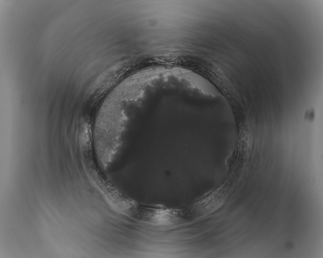 X0000112000130200908171428