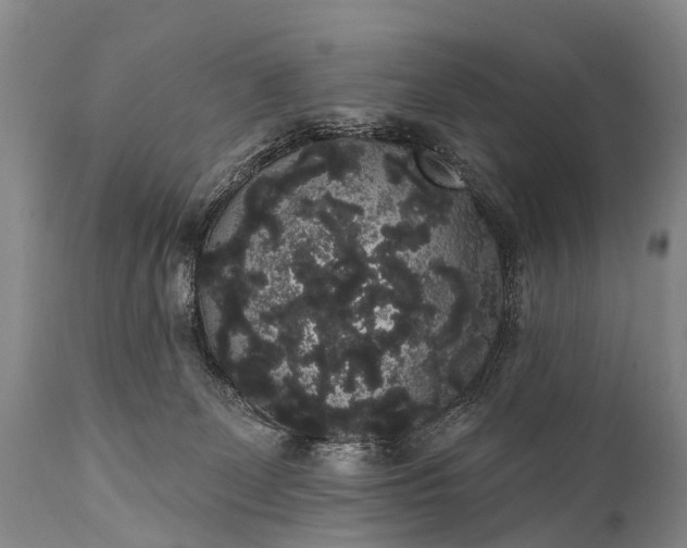 X0000112000131200908171428