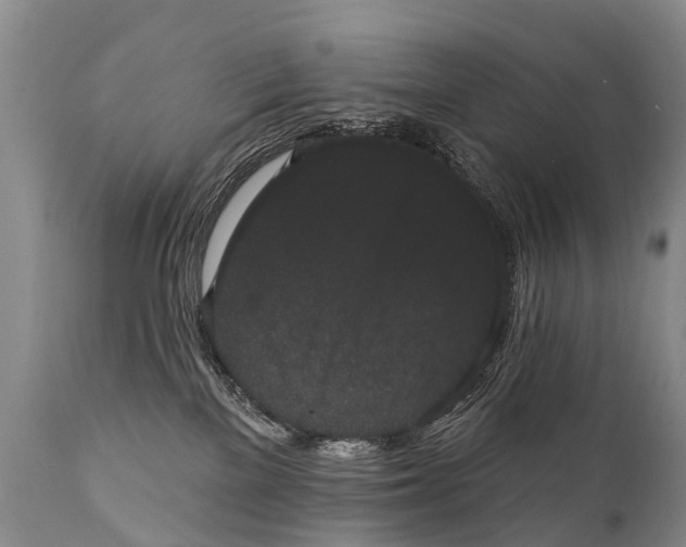 X0000112000137200908171428