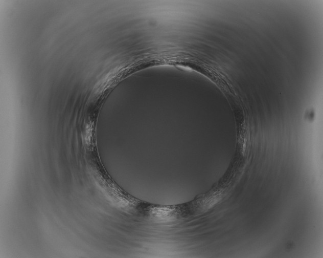 X0000112000139200908171428