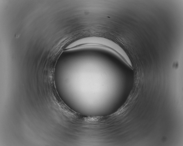 X0000112000140200908171428