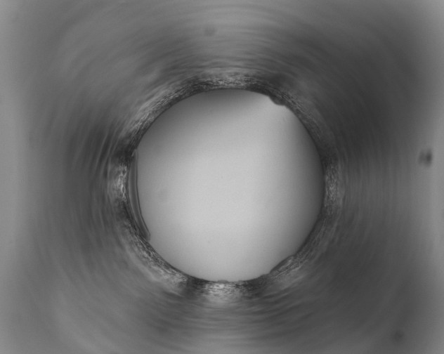 X0000112000141200908171428