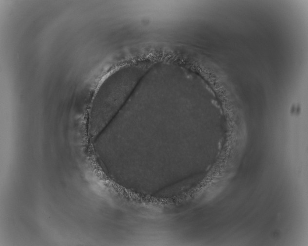 X0000112000144200908171428