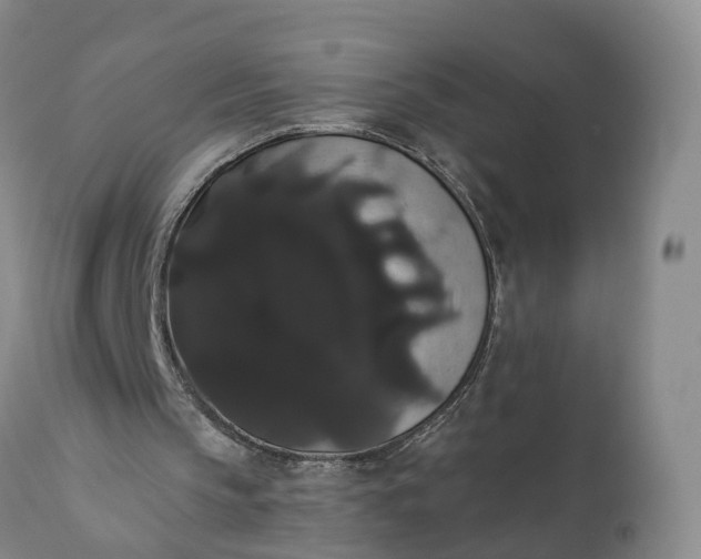 X0000112000145200908171427