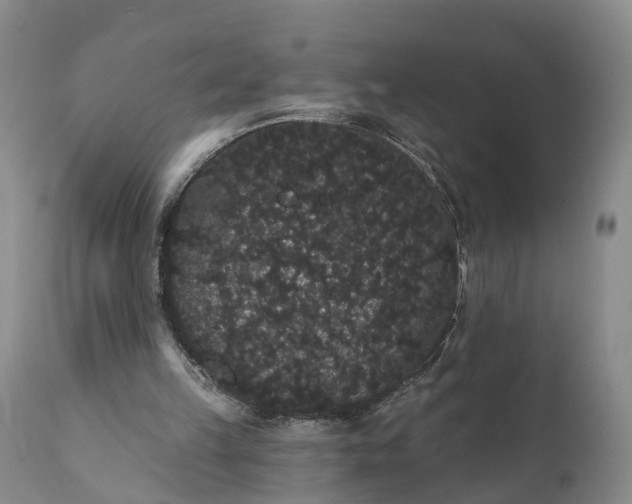 X0000112000149200908171427