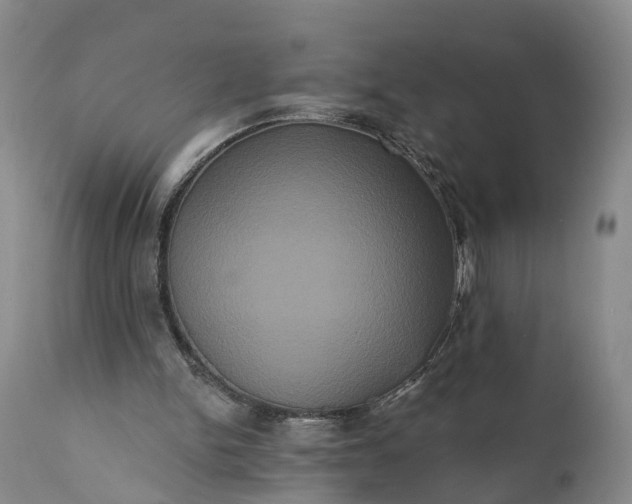 X0000112000150200908171427