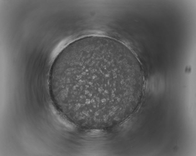 X0000112000151200908171427