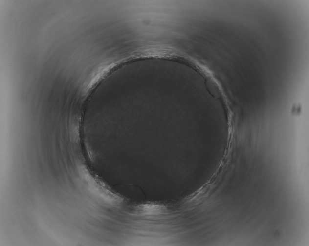 X0000112000154200908171427