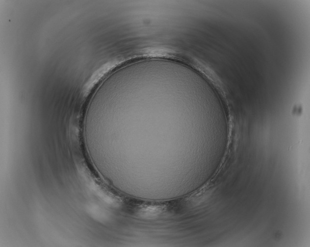 X0000112000155200908171427