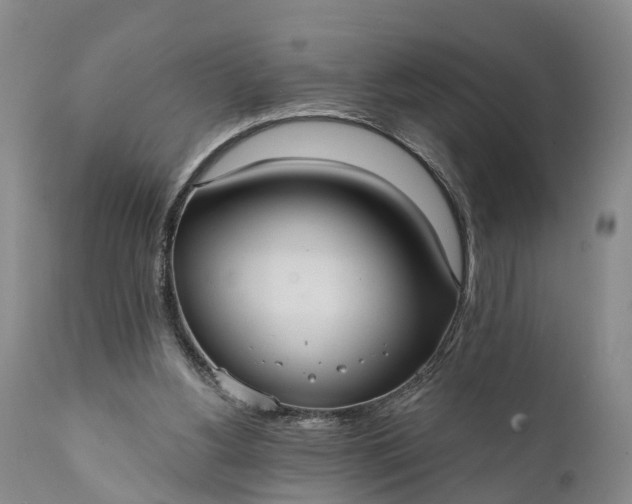 X0000112000156200908171427