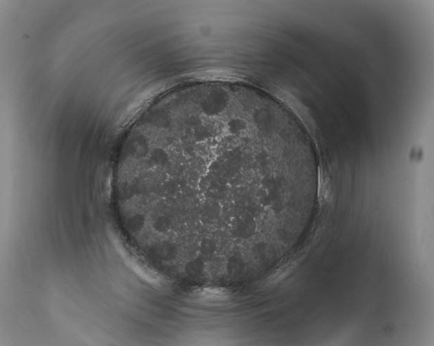 X0000112000157200908171427