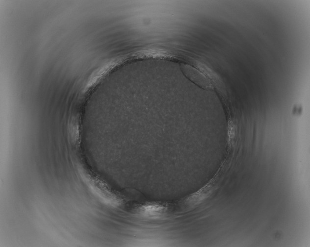 X0000112000158200908171427