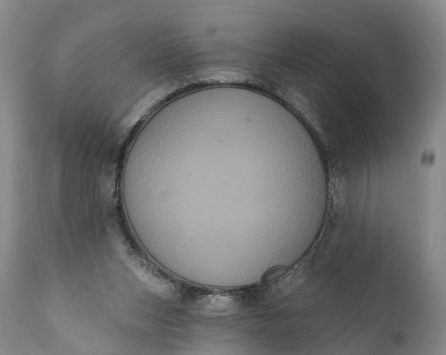 X0000112000159200908171427