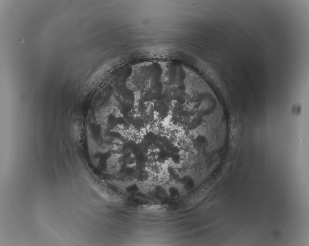 X0000112000161200908171427