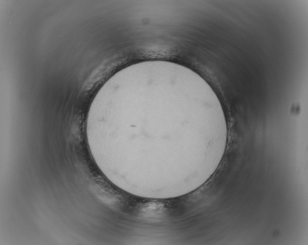 X0000112000162200908171427