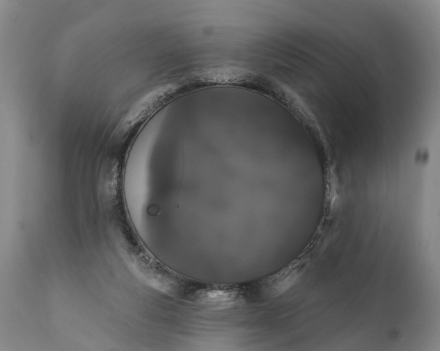 X0000112000163200908171428