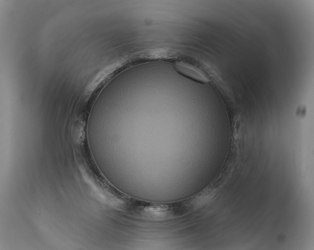 X0000112000164200908171428