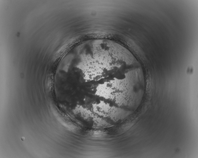 X0000112000165200908171428