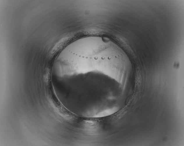 X0000112000167200908171428