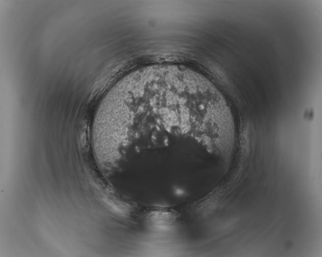 X0000112000169200908171428