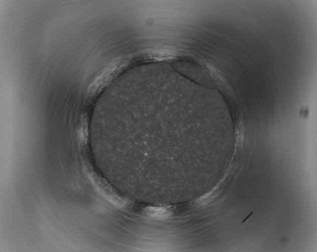 X0000112000170200908171428