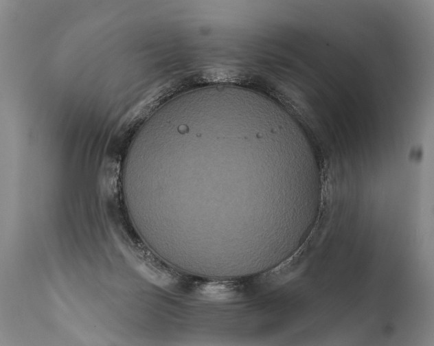 X0000112000171200908171428