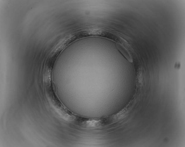 X0000112000172200908171428