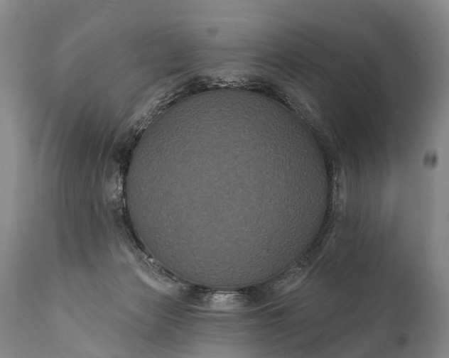 X0000112000173200908171428