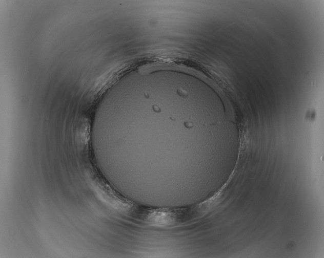 X0000112000174200908171428