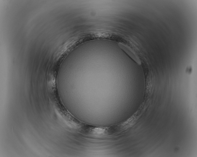 X0000112000176200908171428