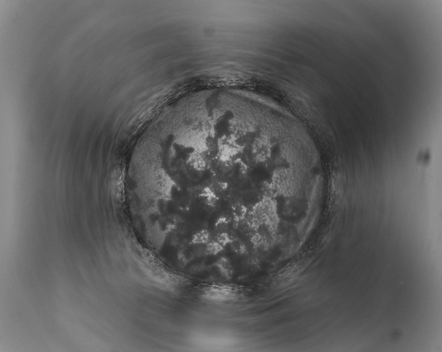 X0000112000177200908171428