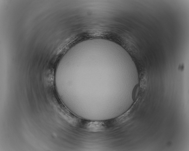 X0000112000179200908171428