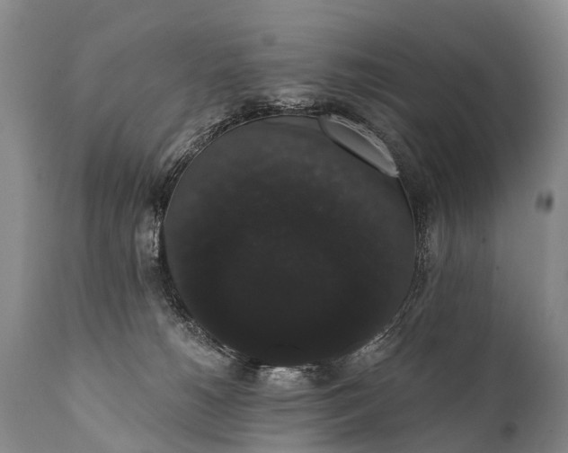 X0000112000180200908171428