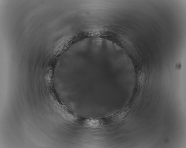 X0000112000181200908171428