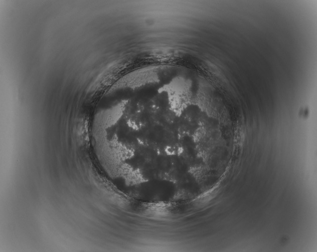 X0000112000182200908171428