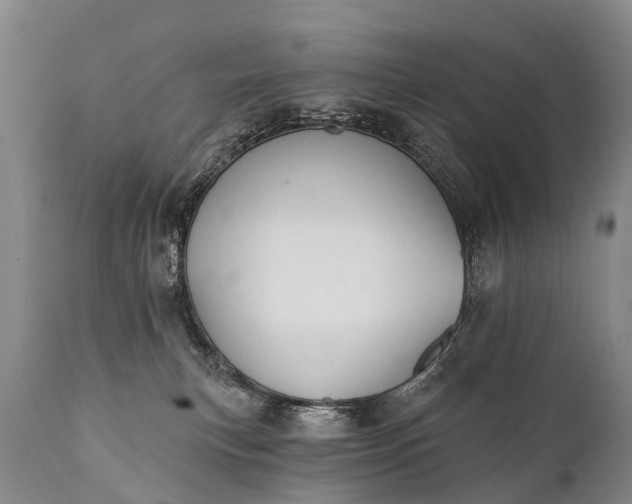 X0000112000183200908171428