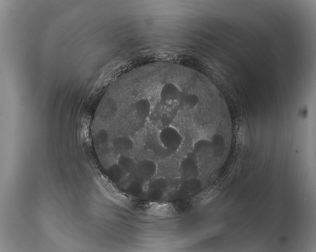 X0000112000185200908171428