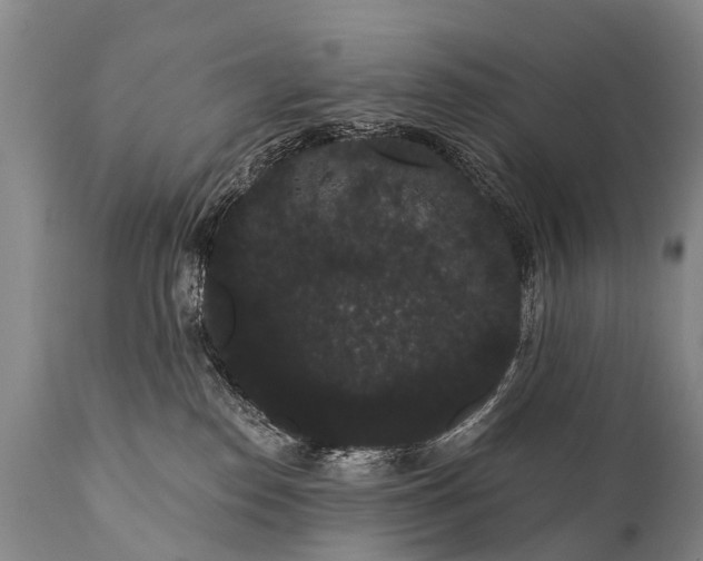 X0000112000186200908171428